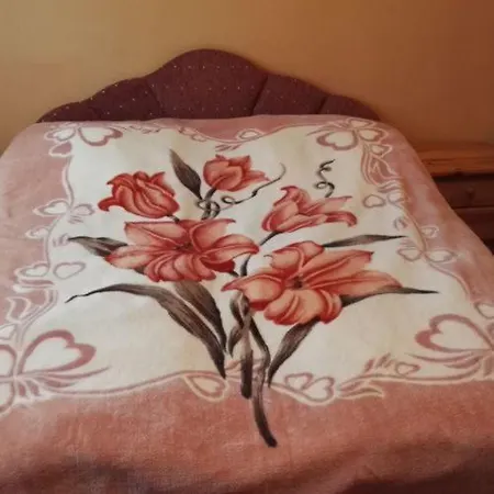 Szanto Apartman * שיופוק