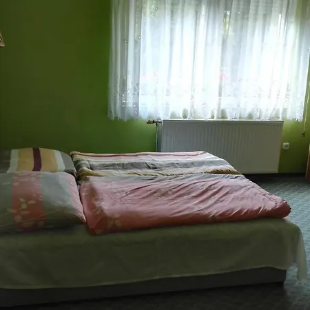 Szanto Apartman דירה *
